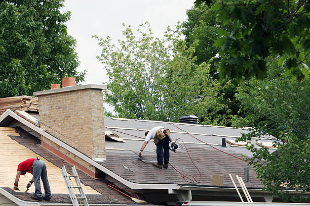 Best Roof Maintenance and Cleaning  in Manchester, MI