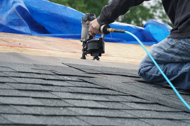 Best Roof Moss and Algae Removal  in Manchester, MI
